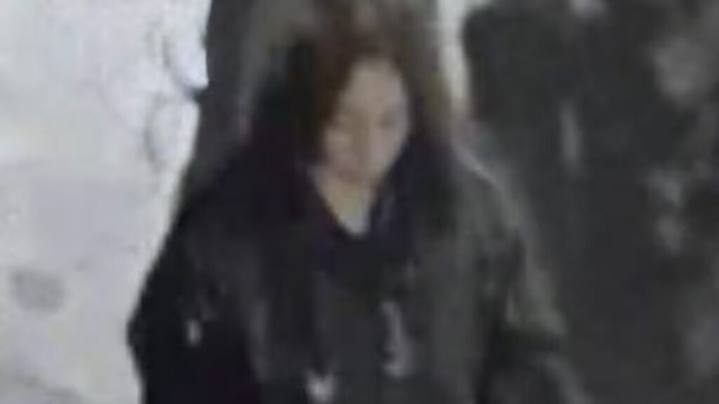 Carabinieri diffondono foto della ragazza uccisa ieri a Milano, ogni informazione è utile per identificarla La ragazza uccisa a Via Paruta a Milano