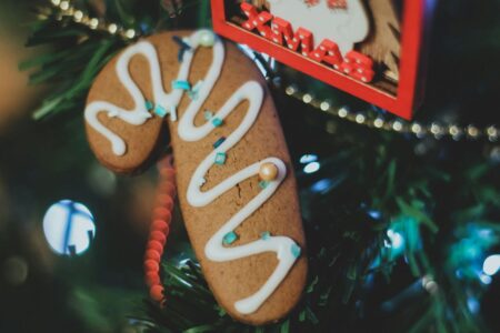 biscotto pan di zenzero su albero