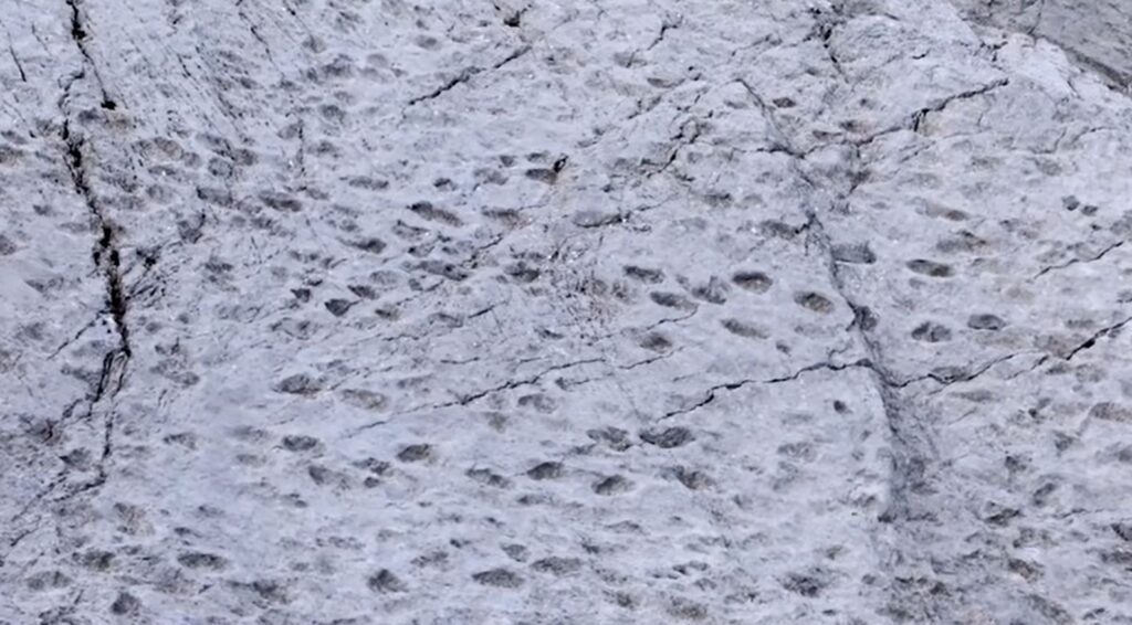 dettaglio ombre dinosauri Stelvio