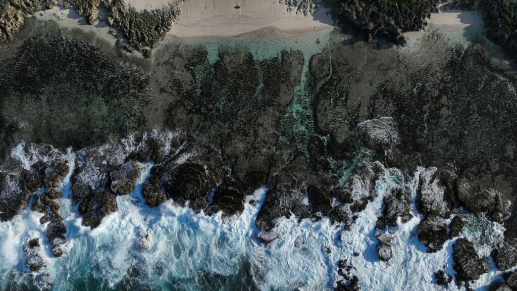 Naufragarono su un’isola e lì rimasero per oltre un anno: cosa fanno oggi quei ragazzini di Tonga uno scorcio delle isole Tonga