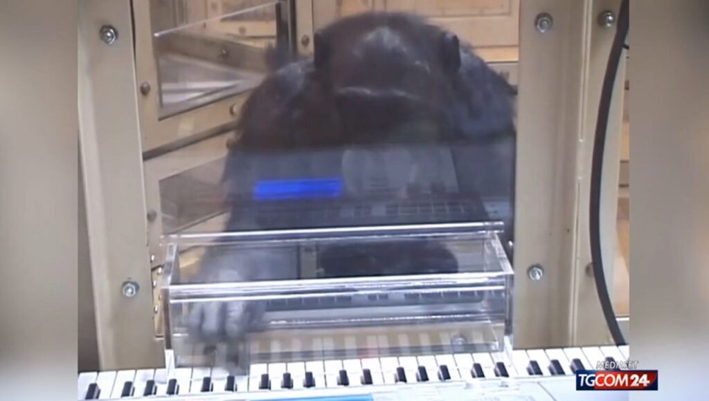 Ai mentre suona il piano