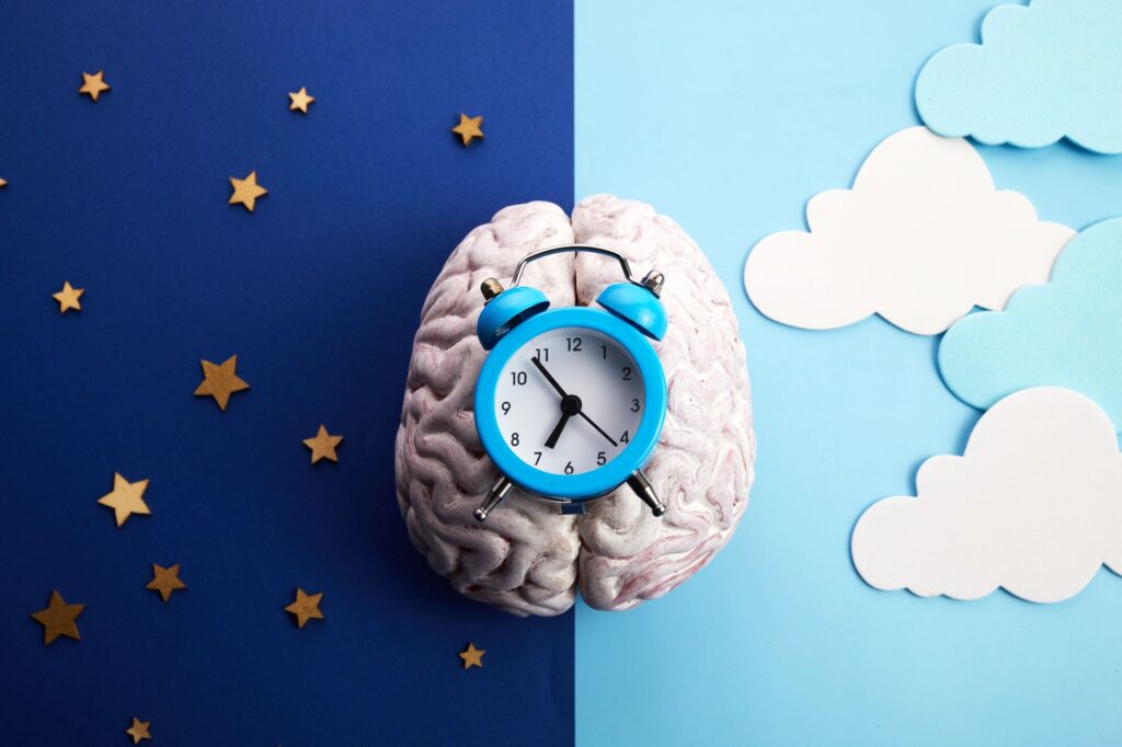 rappresentazione orologio biologico