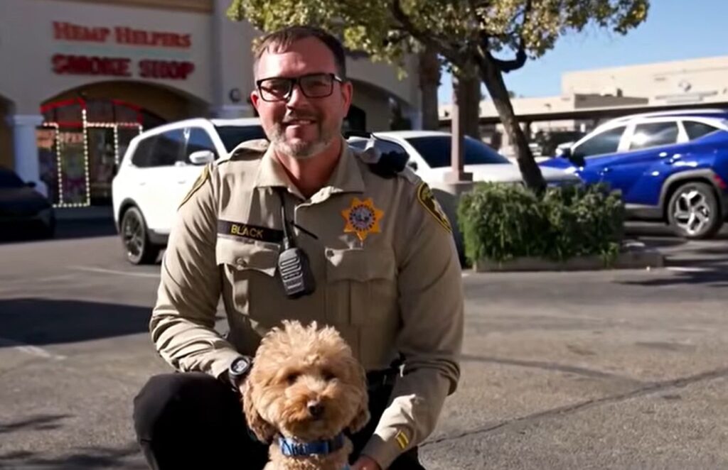JetBlue e il suo nuovo papà