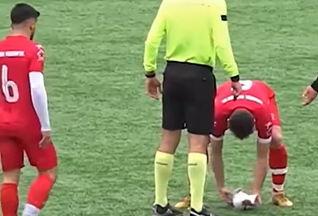 Colpito da una palla durante una partita, un gabbiano viene rianimato da un calciatore (che è l’eroe dei social) La rianimazione del gabbiano