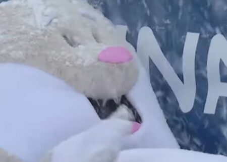 Tina la mascotte dei Giochi Olimpici invernali cade nella neve e diventa virale (nei negozi è soldout) Tina che fa cenno col braccio