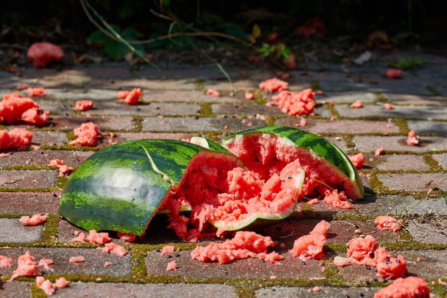 anguria rotta per terra