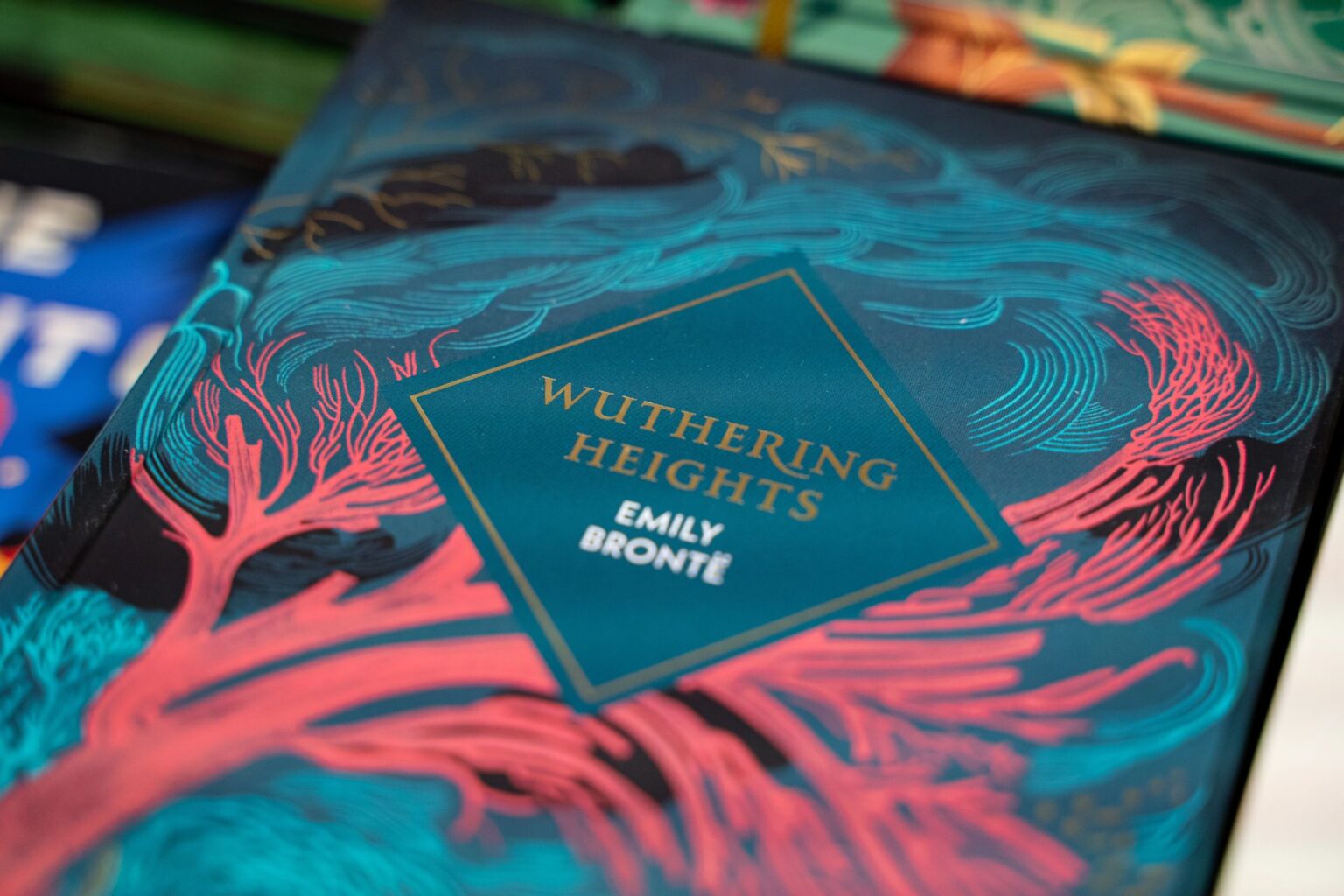 la copertina del libro di Emily Bronte