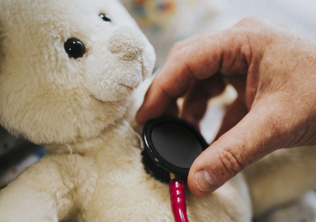 medico ausculta orsacchiotto