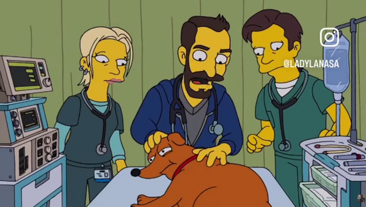 i simpson battono ogni record 800 episodi in 37 stagioni il cast di the pitt e altre star ospiti nella puntata speciale da Cultweb.it i simpson battono ogni record 800 episodi in 37 stagioni il cast di the pitt e altre star ospiti nella puntata speciale