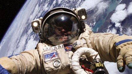 Michael Fincke nello spazio nel 2004