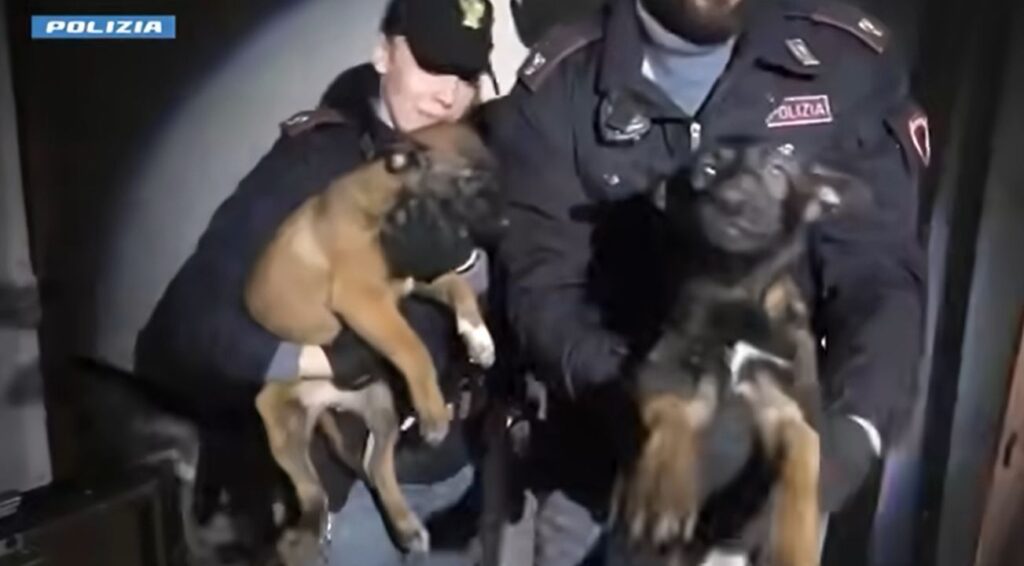 Salvati per miracolo a Torino: ecco come stanno oggi i cuccioli segregati con la loro mamma agenti di polizia con i cagnolini salvati