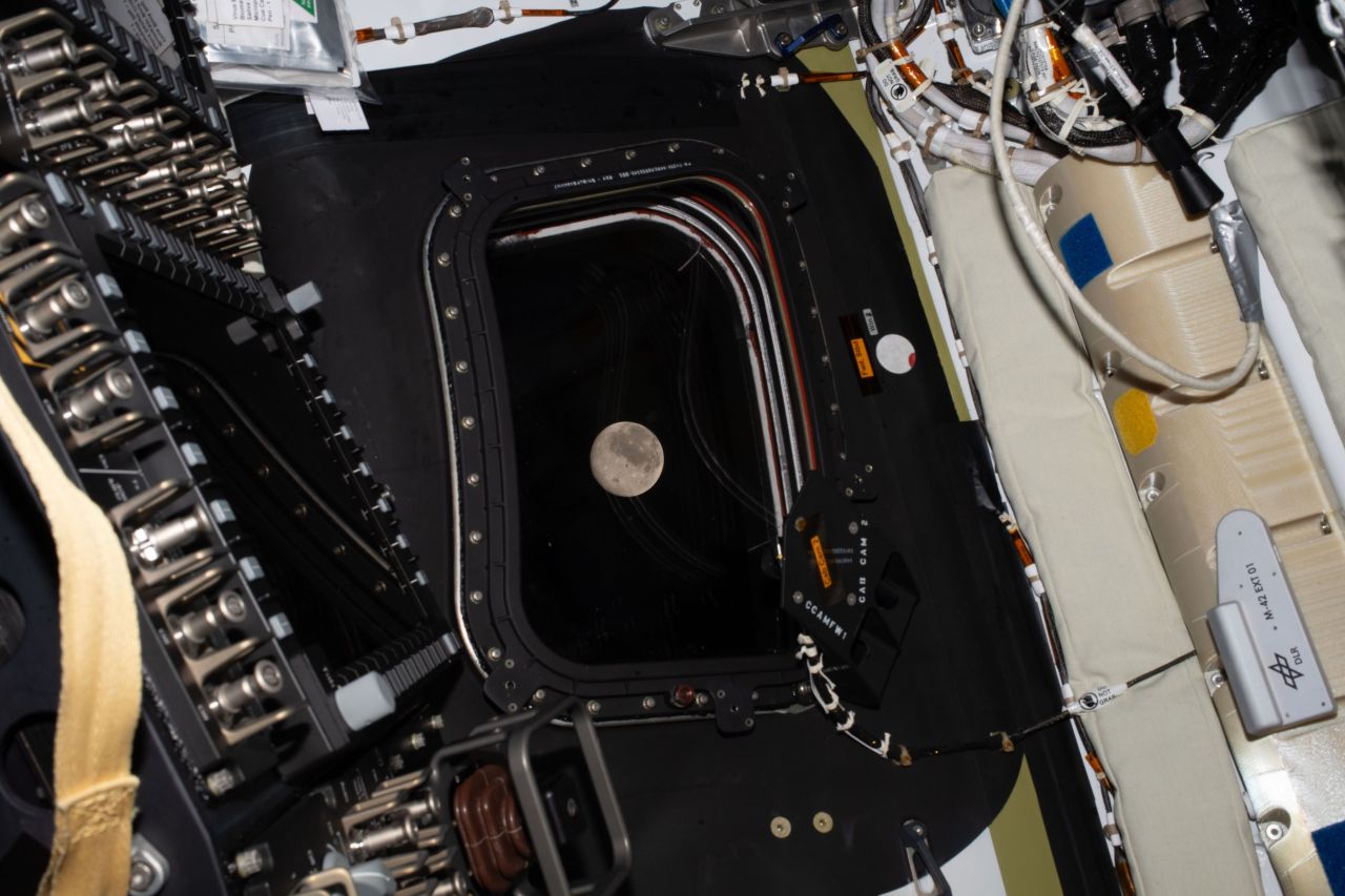moon joy la parola inventata dalla nasa che sta facendo sentire tutti un po8217 pi249 felici guardando la luna da Cultweb.it moon joy la parola inventata dalla nasa che sta facendo sentire tutti un po8217 pi249 felici guardando la luna