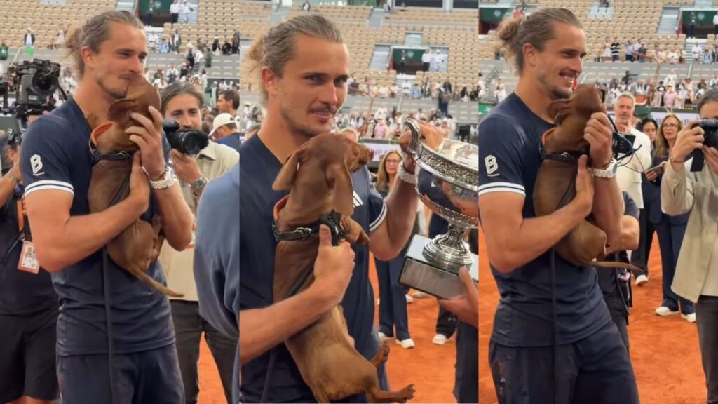 Zverev e Mishka