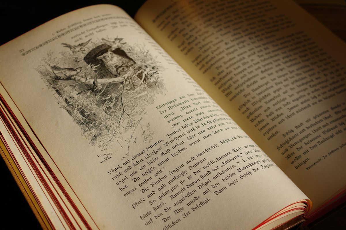 vecchio libro